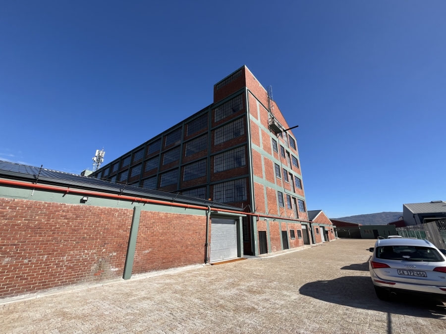 To Let commercial Property for Rent in Diep River Western Cape